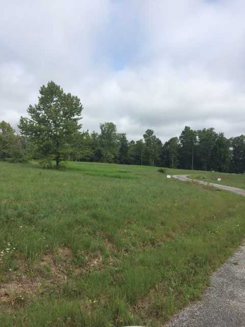 photo shows plot of land on Chelsie Lane